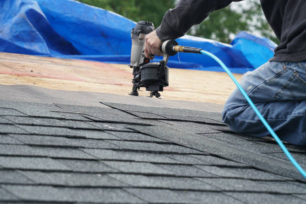 Asphalt Shingles Roofing in Wadsworth, IL